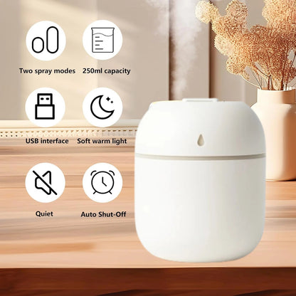 Portable Mini USB Humidifier with Night Light