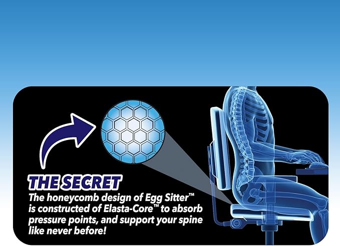 Egg Sitter Seat Cushion