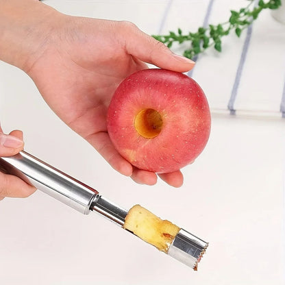 Multi-Fruit Seed Removing Tool